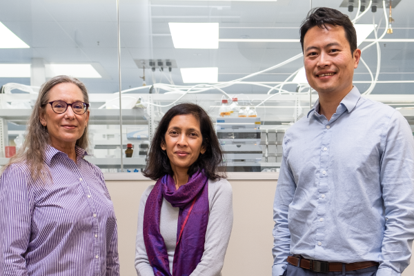 Group portrait of Switch co-founders Lisa Scherer, Directory of Discovery Research, Dee Datta, CEO, and Si-ping Han, CTO
